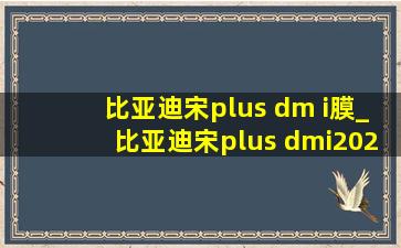 比亚迪宋plus dm i膜_比亚迪宋plus dmi2022款